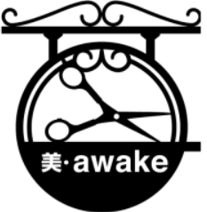 美・awake 髪のエイジングケア  オンライン3ヶ月講座 画像
